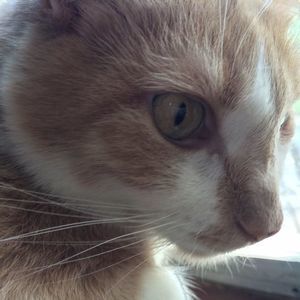 Meet your Posher, Evan